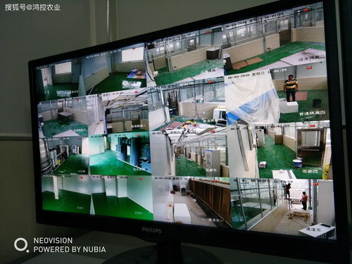 农业物联网技术 网络技术赋能智慧农业